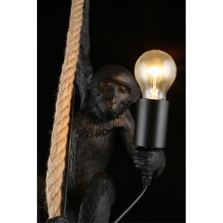 Светильник подвеснойAploytAPL.309.16.01-foto6