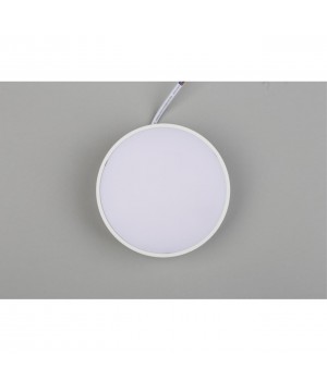 Светильник настенно-потолочныйAploytAPL.0114.09.12-foto6