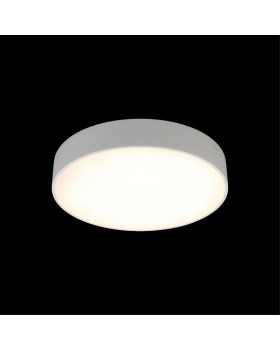 Светильник настенно-потолочныйAploytAPL.0113.09.24-foto8