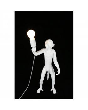 Настольная лампаAploytAPL.309.04.01-foto8