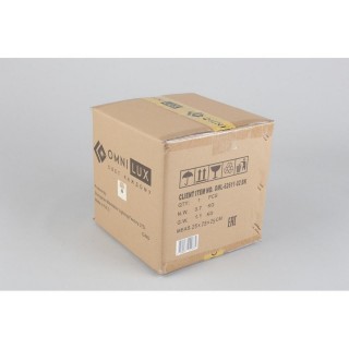 Светильник настенный (Бра)OmniluxOML-62611-02-foto5