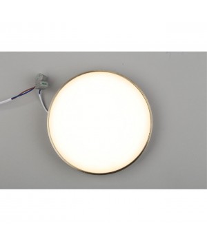 Светильник настенно-потолочныйAploytAPL.0113.29.24-foto6