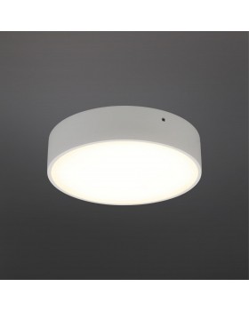 Светильник настенно-потолочныйAploytAPL.0113.09.18-foto2