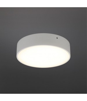 Светильник настенно-потолочныйAploytAPL.0113.09.18-foto2