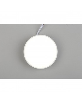 Светильник настенно-потолочныйAploytAPL.0114.09.12-foto5