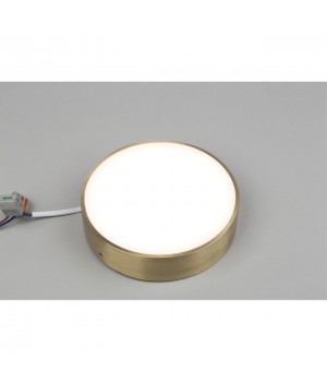 Светильник настенно-потолочныйAploytAPL.0114.29.18-foto3