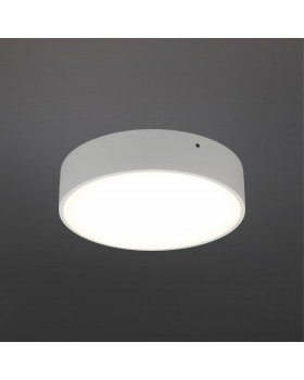 Светильник настенно-потолочныйAploytAPL.0114.09.18-foto2