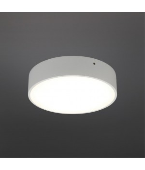 Светильник настенно-потолочныйAploytAPL.0114.09.18-foto2