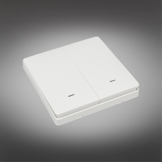 Трековое управление Aployt APL.0190.00.02-foto2