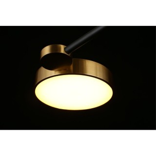 Люстра потолочнаяAploytAPL.043.07.65-foto5