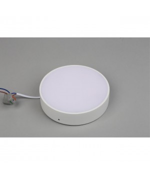 Светильник настенно-потолочныйAploytAPL.0114.09.18-foto4