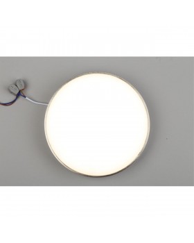 Светильник настенно-потолочныйAploytAPL.0114.19.24-foto6