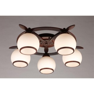 Люстра потолочнаяOmniluxOML-50507-05-foto2