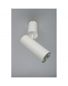 Светильник настенно-потолочныйAploytAPL.007.02.01-foto4