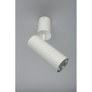 Светильник настенно-потолочныйAploytAPL.007.02.01-foto4