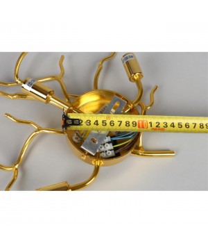 Светильник настенный (Бра)AploytAPL.844.01.03-foto4