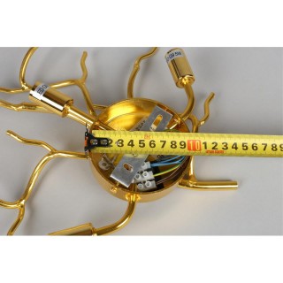 Светильник настенный (Бра)AploytAPL.844.01.03-foto4