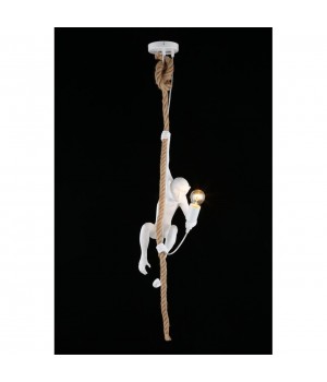 Светильник подвеснойAploytAPL.309.06.01-foto9