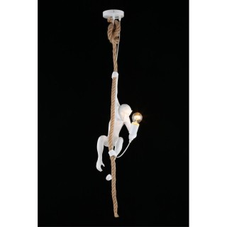 Светильник подвеснойAploytAPL.309.06.01-foto9