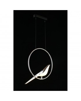 Светильник подвеснойAploytAPL.822.16.10-foto11