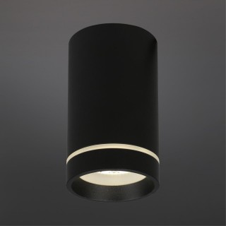 Светильник встраиваемый-накладнойAploytAPL.0054.19.10-foto2