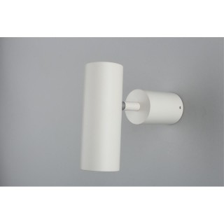 Светильник настенно-потолочныйAploytAPL.007.02.01-foto7