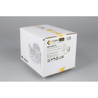 Светильник настенный (Бра)OmniluxOML-65201-01-foto4