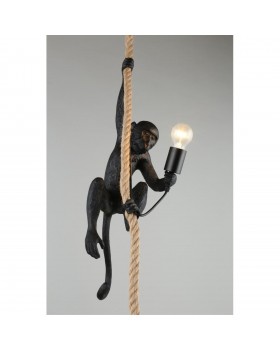 Светильник подвеснойAploytAPL.309.16.01-foto13