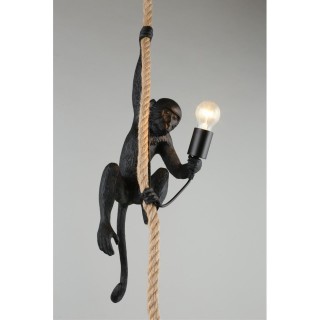 Светильник подвеснойAploytAPL.309.16.01-foto13