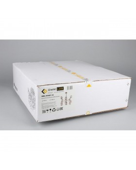 Люстра потолочнаяOmniluxOML-93407-12-foto9