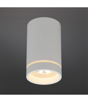 Светильник встраиваемый-накладнойAploytAPL.0053.09.10-foto2