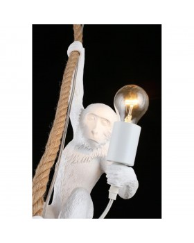 Светильник подвеснойAploytAPL.309.06.01-foto5