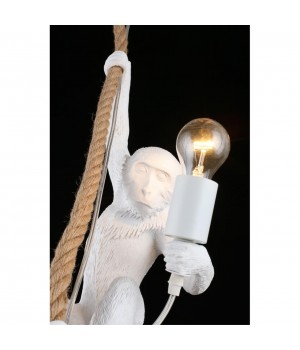 Светильник подвеснойAploytAPL.309.06.01-foto5