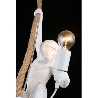 Светильник подвеснойAploytAPL.309.06.01-foto5