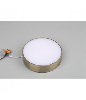 Светильник настенно-потолочныйAploytAPL.0113.29.18-foto4