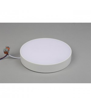 Светильник настенно-потолочныйAploytAPL.0114.09.24-foto5