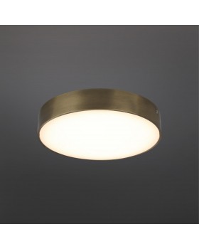 Светильник настенно-потолочныйAploytAPL.0113.29.24-foto2