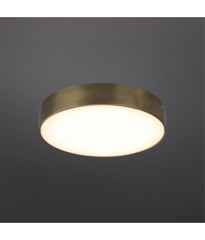 Светильник настенно-потолочныйAploytAPL.0113.29.24-foto2