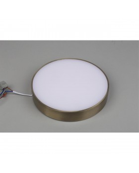 Светильник настенно-потолочныйAploytAPL.0114.29.24-foto4