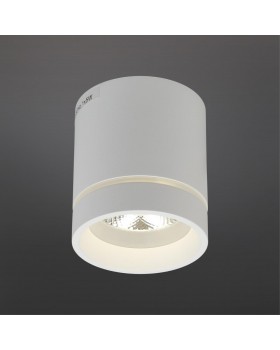 Светильник встраиваемый-накладнойAploytAPL.0044.09.05-foto2