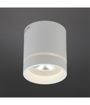 Светильник встраиваемый-накладнойAploytAPL.0044.09.05-foto2