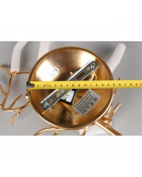 Светильник настенный (Бра) Aployt APL.818.01.02-foto8