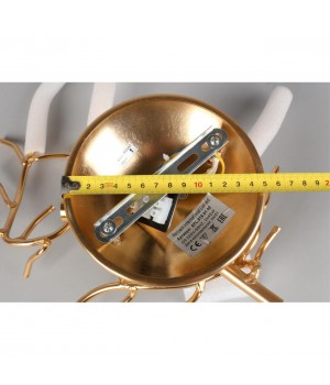 Светильник настенный (Бра) Aployt APL.818.01.02-foto8