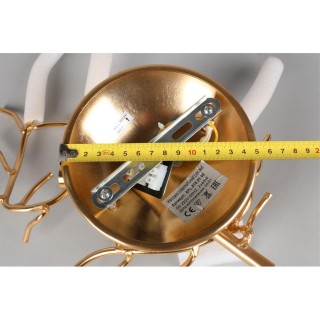 Светильник настенный (Бра) Aployt APL.818.01.02-foto8