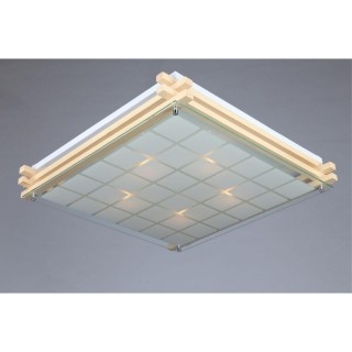 Светильник настенно-потолочныйOmniluxOML-40517-05-foto2