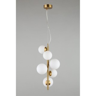 Светильник подвеснойAploytAPL.314.06.06-foto10