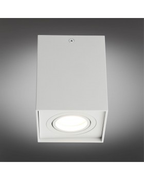 Светильник встраиваемый-накладнойOmniluxOML-101109-01-foto2