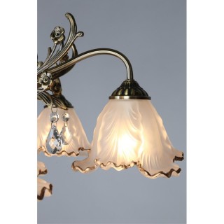 Люстра потолочнаяOmniluxOML-54807-05-foto4