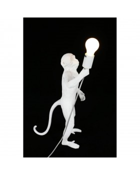 Настольная лампаAploytAPL.309.04.01-foto7