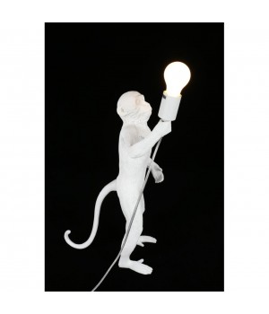 Настольная лампаAploytAPL.309.04.01-foto7